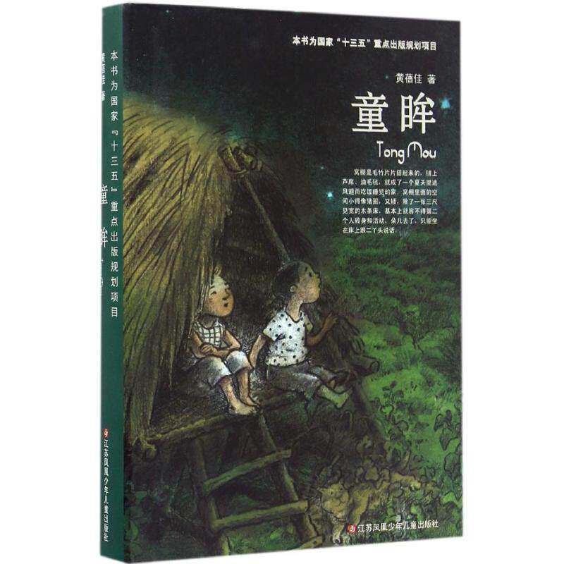 【正版书籍】 童眸 黄蓓佳 著 江苏凤凰少年儿童出版社
