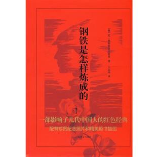 【正版书籍】 钢铁是怎样炼成的 (俄)奥斯特洛夫斯基　著,王志冲　译 上海译文出版社