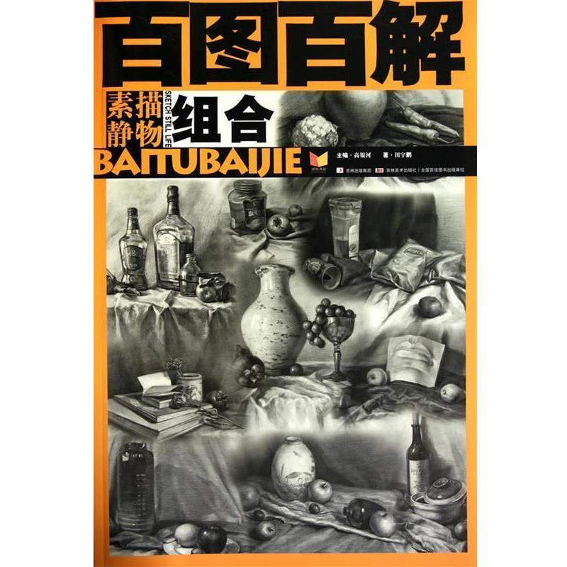 【正版书籍】 百图百解:素描静物·组合 高银河 主编 吉林美术出版社