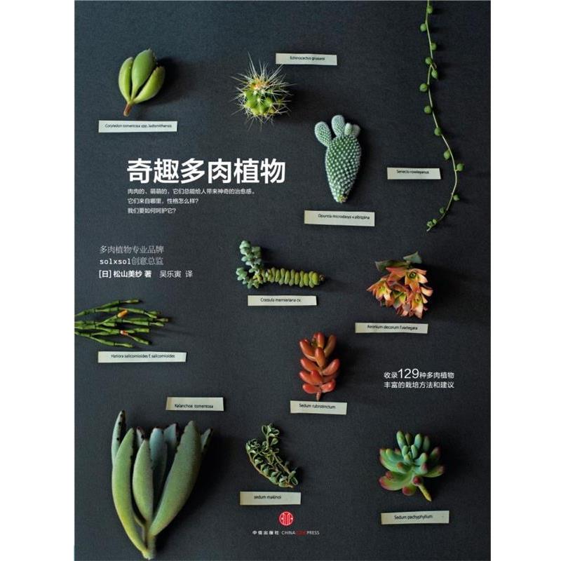 【正版书籍】 奇趣多肉植物 [日] 松山美纱　著,吴乐寅　译 中信出版社