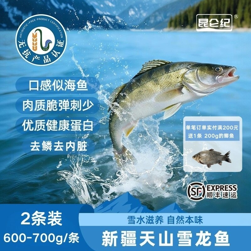 昆仑纪新疆天山无抗雪龙鱼梭鲈鱼淡水鱼整条装原去鳞去内脏方便