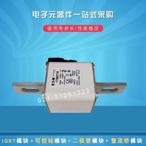 170M5732 5733 5734 5735 5738 5739 5740 5741快速熔断器保险丝