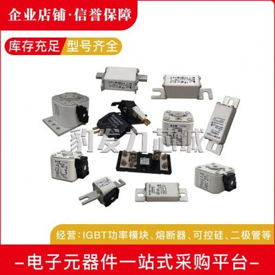 170M4714 170M4715 170M4716 170M4717 170M4718 170M4719熔断器