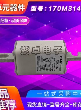 170M2697 170M2698 170M2699 170M2700 170M2701 170M2702熔断器