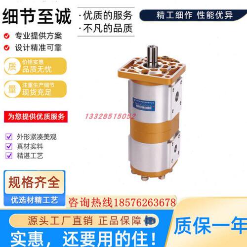 合肥长源齿轮泵CBNL-F563/F550/F540/F532/F525/520/16/10-BFH/PL