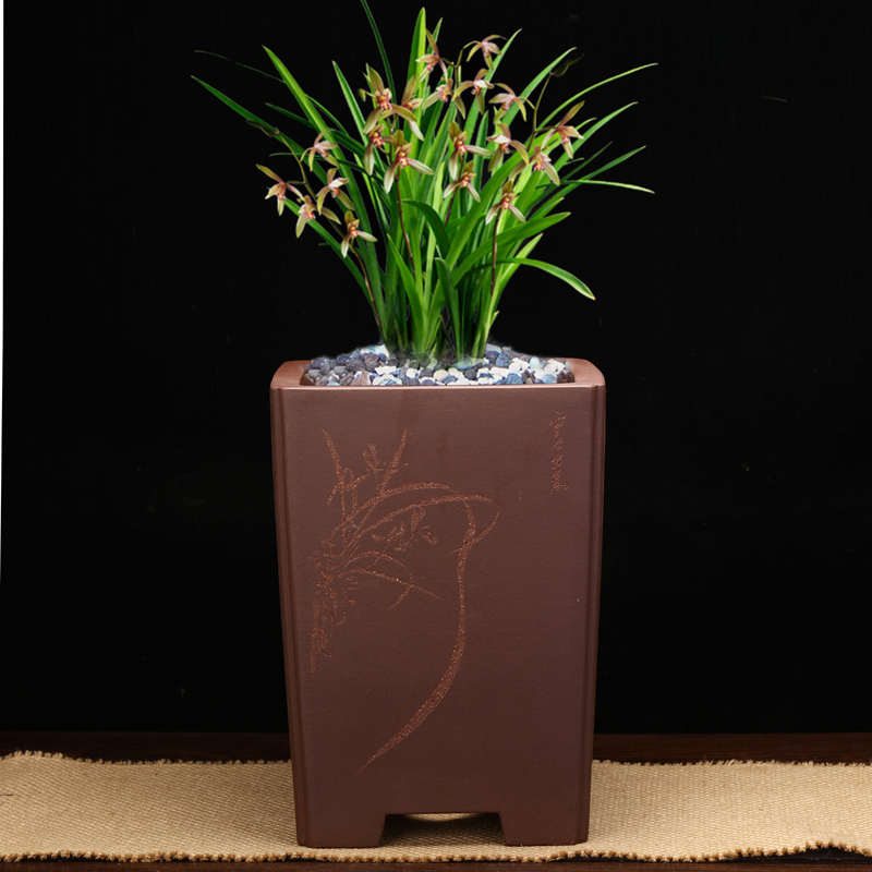 精品紫砂花盆大号四方高签筒盆景E盆老桩兰花盆君子兰客厅绿植包