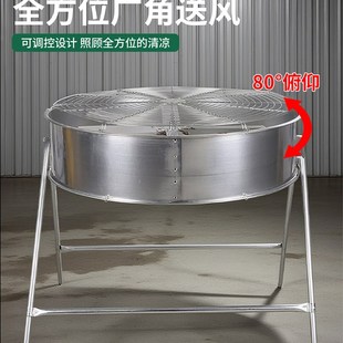 扬谷扇强力风机大风力调速开关工业落地扇养殖降温通风机工厂风扇