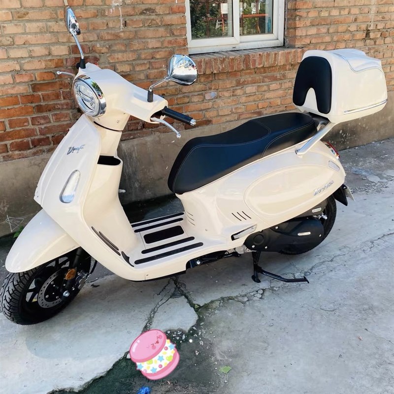 大阳VRF150摩托车尾箱载物箱子DY150T-39复古后备箱行李箱改装