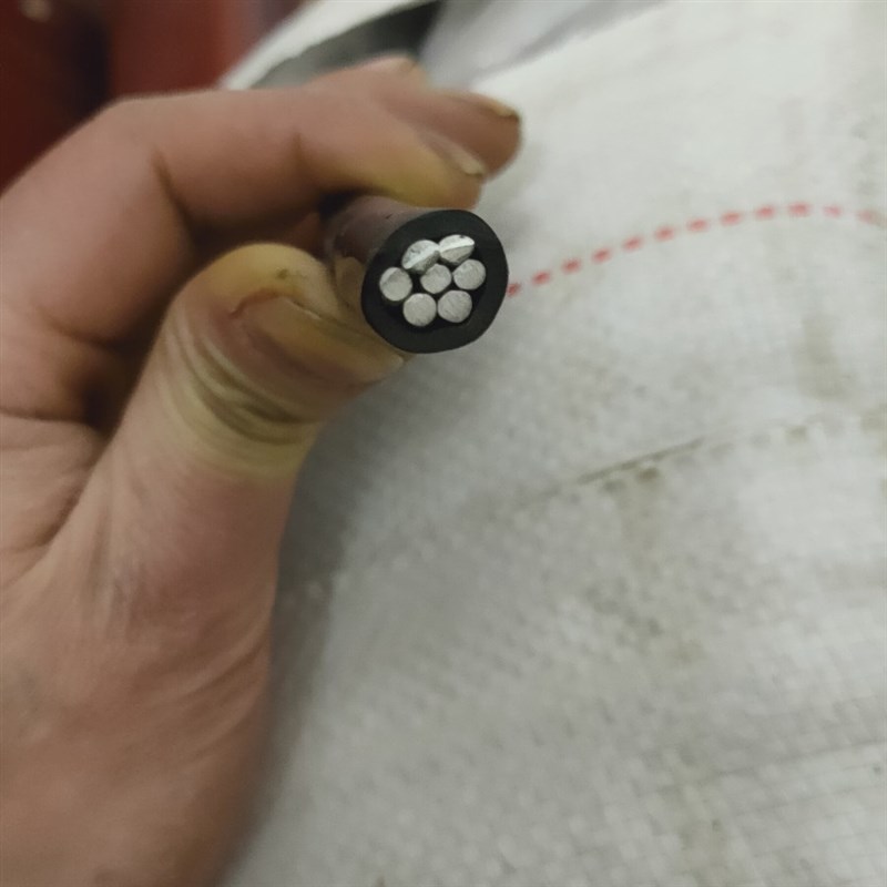 国标2.54/6/10/16/25/35/50平方单芯铝线防老化电线户外进户线