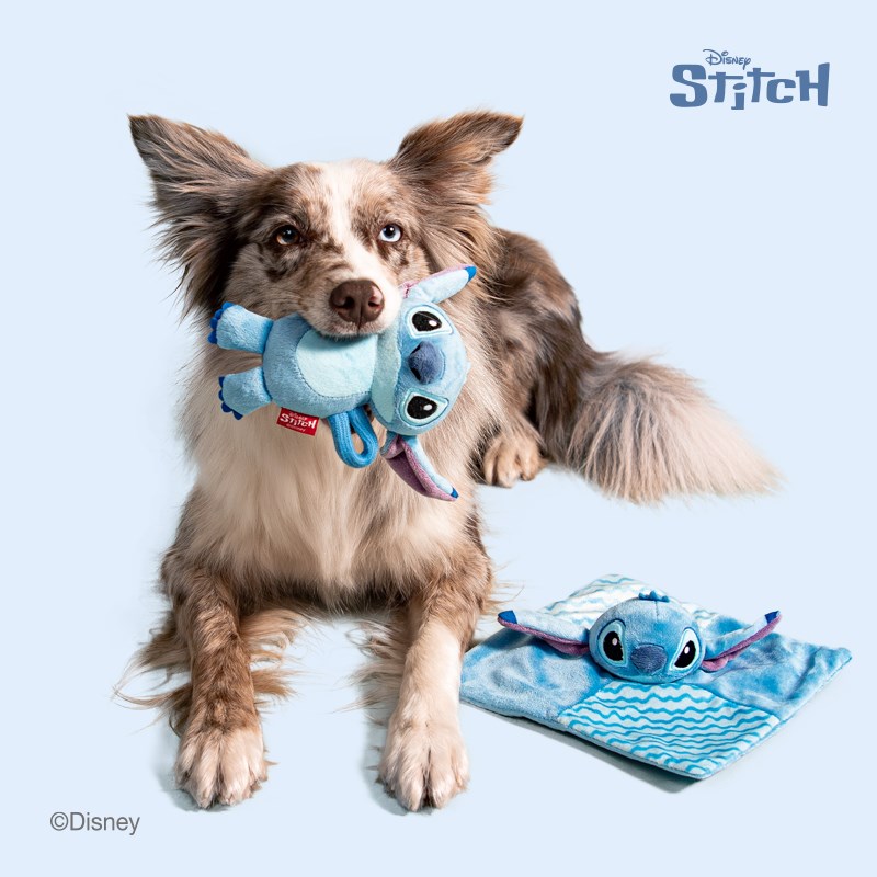 GiGwi贵为史迪奇系列狗狗玩具毛绒发声磨牙耐咬自嗨解闷神器宠物