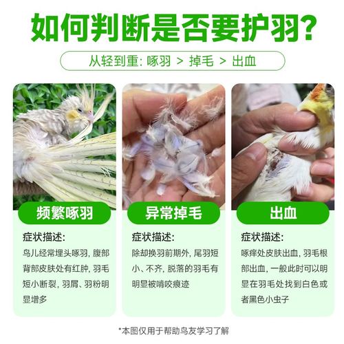 鹦鹉鸟羽卫士护羽喷雾 防啄羽虱螨虫寄生咬毛一喷净非体外驱虫药