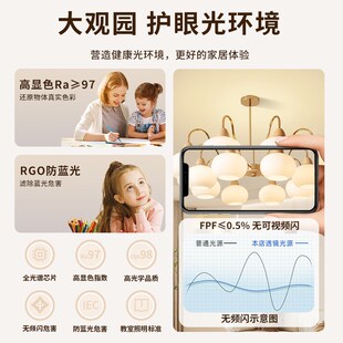 2025新款客厅吊灯法式奶油风中古原木风新中式柿子灯中山灯具R335