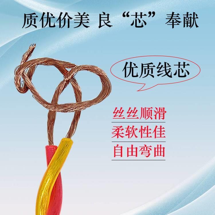 牛筋双绞花线透明二芯软电t线家用插座户外防水防冻电动车充电源