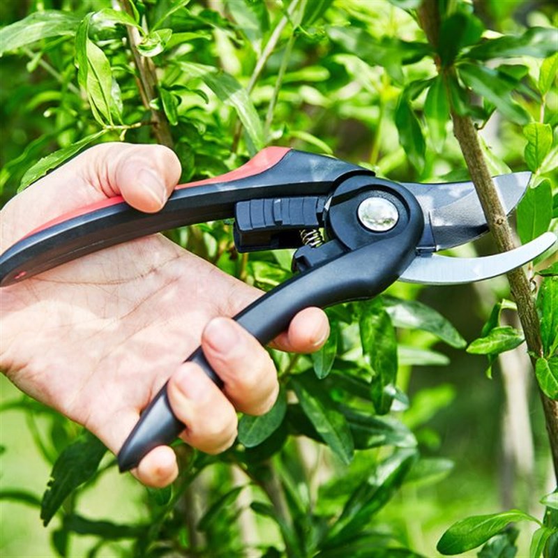 漫生活修枝剪园林剪刀修花园艺树剪D子修剪粗枝省力花剪家用剪枝