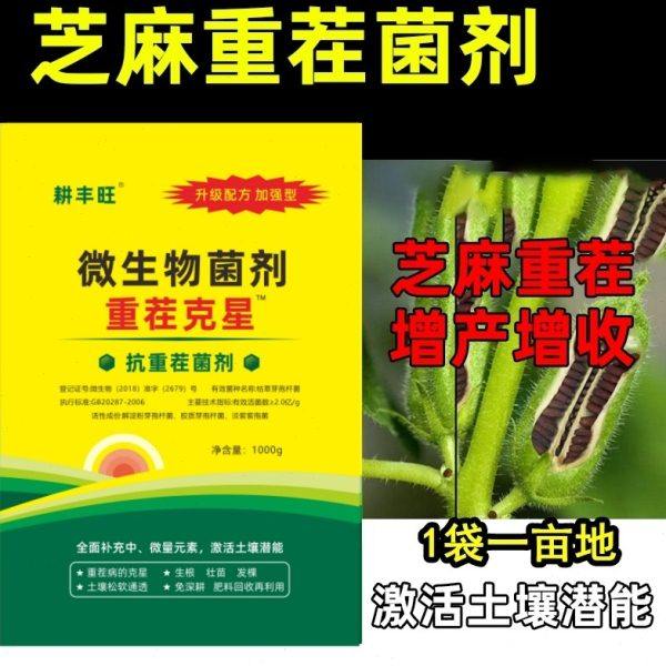 芝麻重茬专用芝麻重茬肥土壤改良疏松剂芝麻根腐病专用重茬治病肥