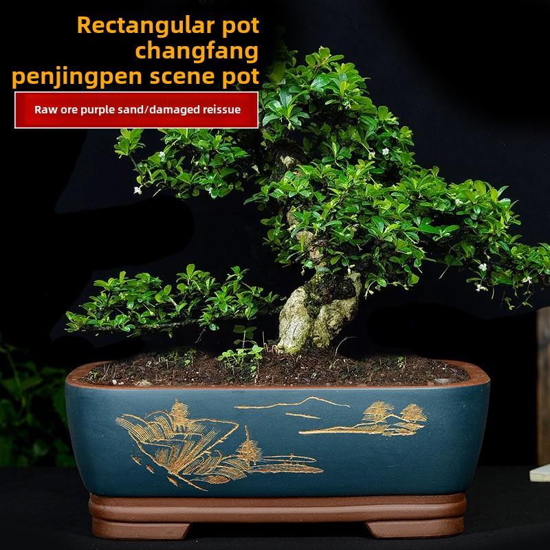 特大号紫砂花盆长方形盆景盆马槽盆室内阳台花卉盆假山造景陶瓷盆