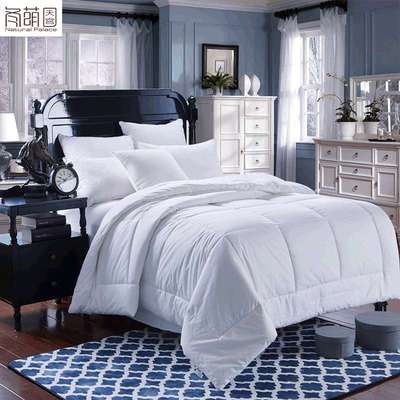 四季通用五星级酒店整张羽丝棉被芯宾馆被子加厚保暖被子