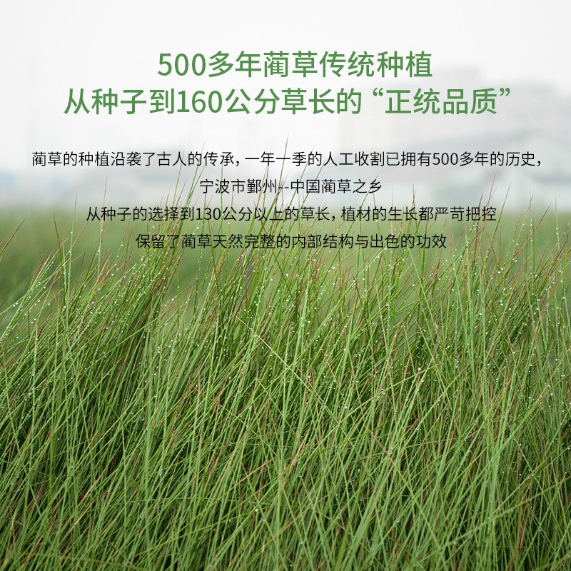 可折叠榻榻米垫子日式环保椰棕定制定做飘窗打地铺塌塌米睡垫地垫