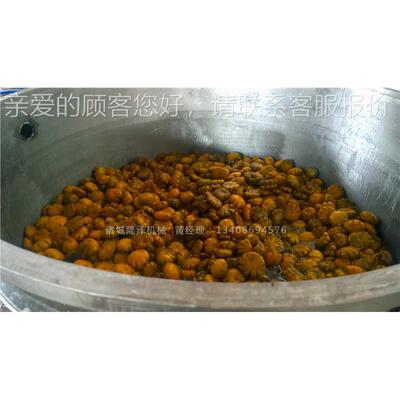 卫生级 食品厂用真空力浸渍设压备果加工设备 QNM真脯空浸渍设备