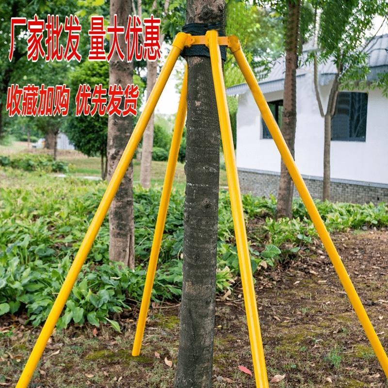 树木支撑固定器铁抱箍防风支撑杆绿化行道苗木支撑架镀锌烤漆钢管