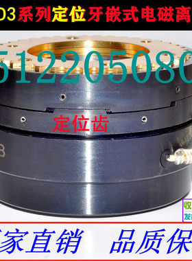 DLYD3-5A10A16A25A41A63A100A160A200定位牙嵌式电磁离合器矩形齿