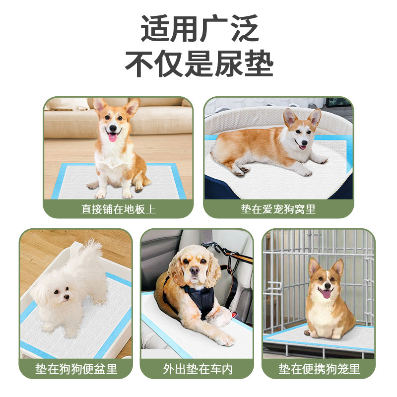 超大号除臭吸水宠物狗狗尿垫诱导因子尿片垫加厚猫咪厕所引导尿片,宠物/宠物食品及用品,尿片/尿垫/护垫,淘宝优惠券,粉丝福利购,淘宝优惠卷