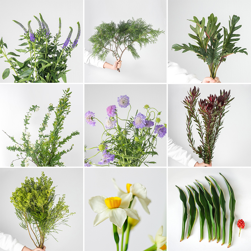 日式中式花道插花配花 主枝副枝客枝 鲜花花材绿植叶片 花艺材料