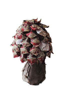 松果树皮蘑菇圣诞桌面摆件装饰品家居客厅房间小屋橱窗布置小摆设