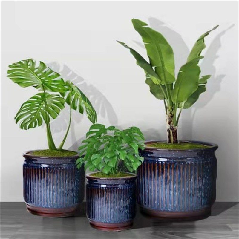 陶瓷特大号花盆个性盆栽桌面发财树花卉绿植客厅阳台庭院绿萝包邮