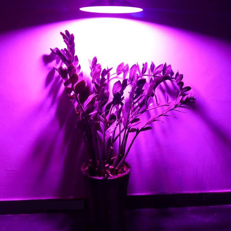 UV紫光灯 舞台灯光 36颗帕灯 LED par背景 染色灯 验钞灯 紫外线