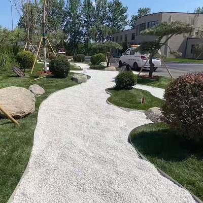 白色鹅卵石铺地小石头园林花盆铺面石庭院白石头铺路造景白石子