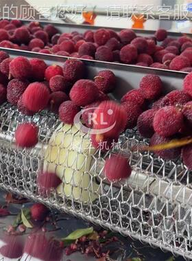 商果蔬机清洗机 气泡式蓝去莓树莓清用洗杂TGE 全自动杨梅清洗机