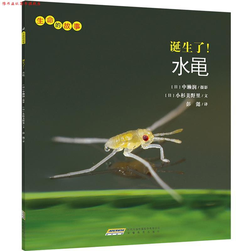 【正版书】 生命的故事:诞生了!水黾 小杉美野里 安徽教育出版社