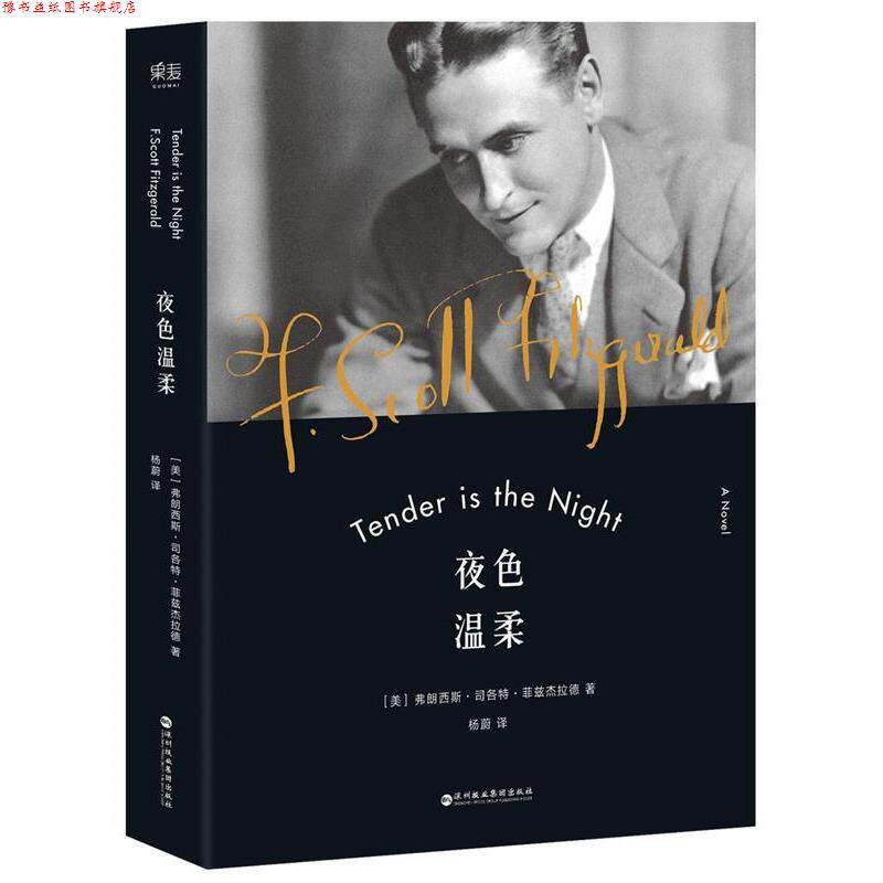 【正版书】 夜色温柔 弗朗西斯·司各特·菲兹杰,译者 杨蔚 ,果麦文化 出品 深圳报业集团出版社