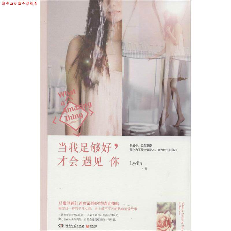 【正版书】 当我足够好,才会遇见你 Lydia 湖南文艺出版社