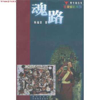 【正版书】 魂路 杨福泉 著 海天出版社,江西教育出版社