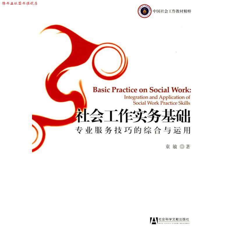 【正版书】 社会工作实务基础:专业服务技巧的综合与运用 童敏 著 社会科学文献出版社