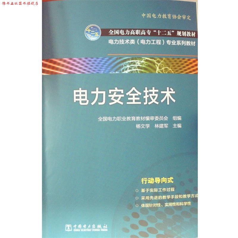 【正版书】 电力安全技术 杨文, 林建军 主编 中国电力出版社