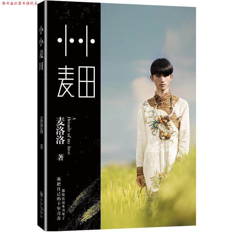 【正版书】 小小麦田 麦洛洛 著 九州出版社