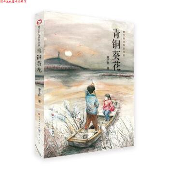【正版书】 青铜葵花 曹文轩 人民文学出版社,天天出版社