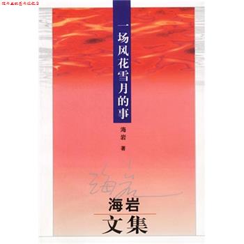 【正版书】 海岩文集:一场风花雪月的事 海岩 著 群众出版社