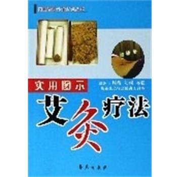 【正版书】 实用图示艾灸疗法 实用图示外法丛书 周荣,刘硕,齐强 学苑出版社
