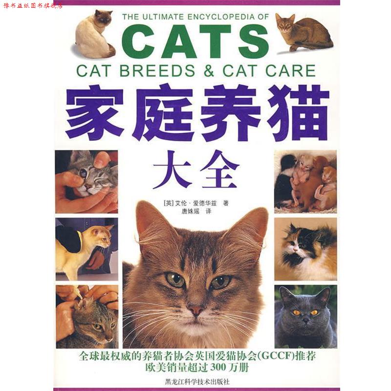 【正版书】 家庭养猫 [英] 艾伦·爱德华兹 著,唐妹瑶 译 黑龙江科学技术出版社