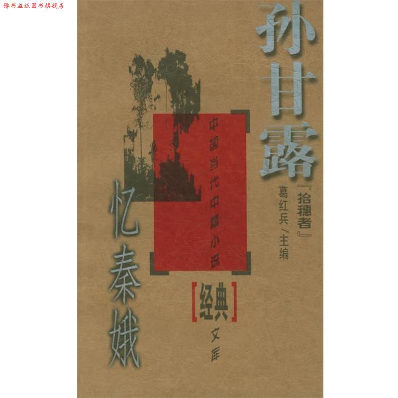 【正版书】 忆秦娥 拾穗者文库 孙甘露 中国文联出版社