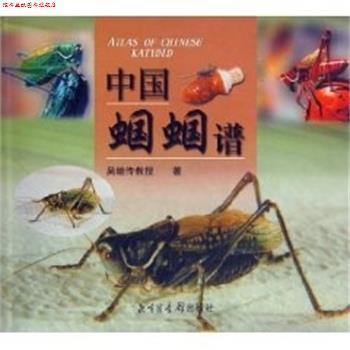 【正版书】 中国蝈蝈谱 吴继传 国家图书馆出版社