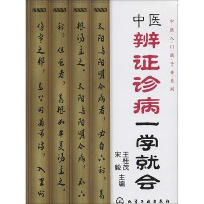 【正版书】 中医辨证诊病一学就会 王桂茂,宋毅 化学工业出版社