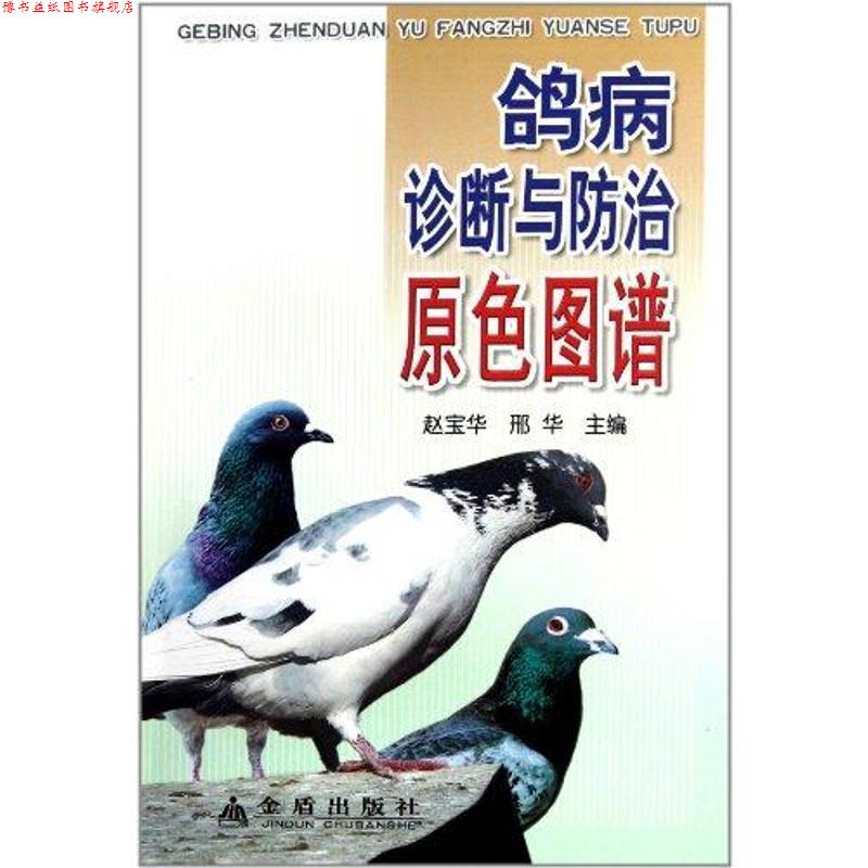 【正版书】 鸽病诊断与防治原色图谱 赵宝华 金盾出版社