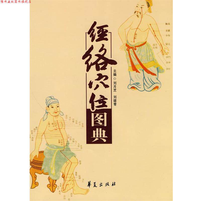 【正版书】 经络穴位图典 刘月芝,刘建青 主编 华夏出版社