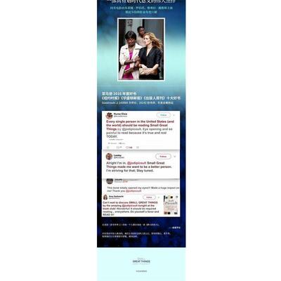 【正版书】 渺小的伟大 (美)朱迪·皮考特(Jodi Picoult) 著,欧睿智 译 中信出版社