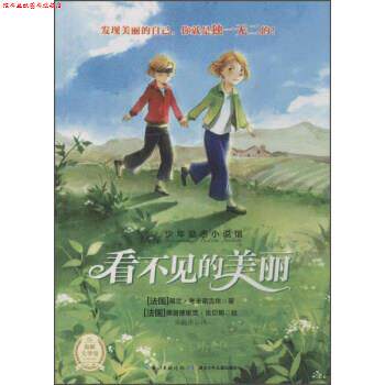 【正版书】 少年励志小说馆:看不见的美丽 [法国] 简兰·考米诺吉依 著,[法国] 弗雷德里克·雷贝那 绘,朱蔚冰 译 湖北少年儿童出